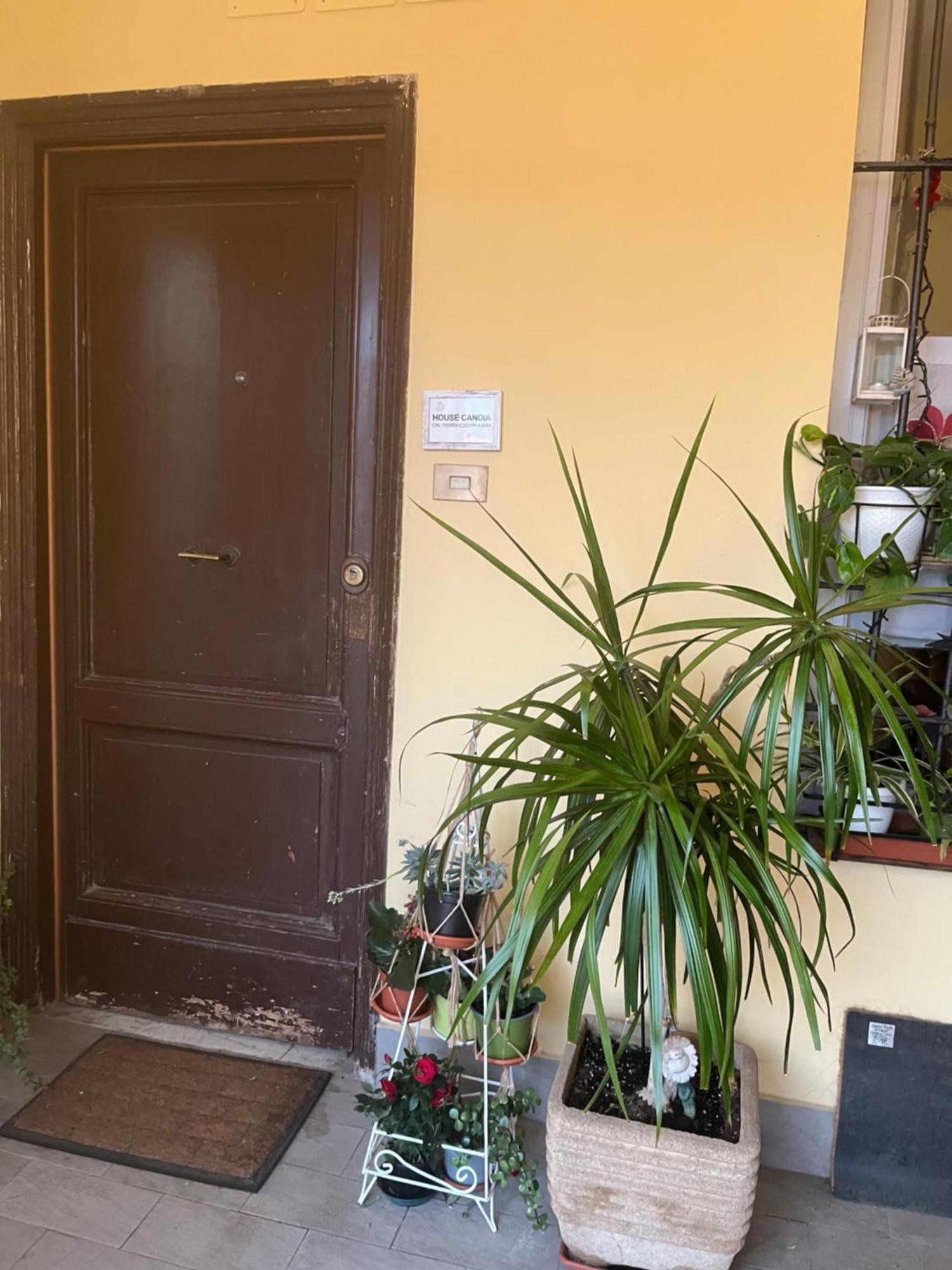 House Candia 111 - Vatican Museum Apartment Rome Exterior photo